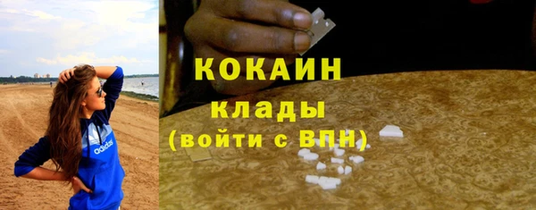 ГАЛЛЮЦИНОГЕННЫЕ ГРИБЫ Ростов