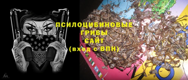 винт Рославль
