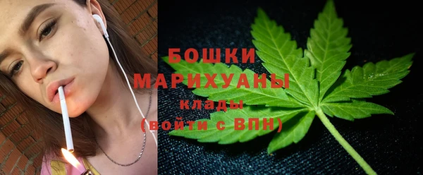 ГАЛЛЮЦИНОГЕННЫЕ ГРИБЫ Ростов