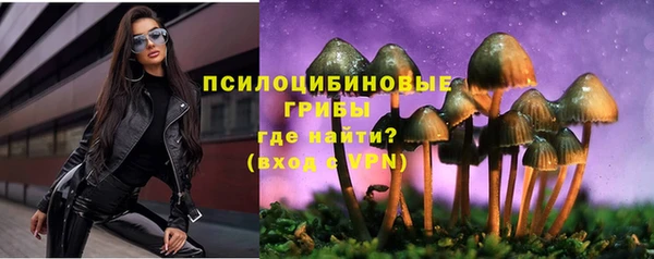 ГАЛЛЮЦИНОГЕННЫЕ ГРИБЫ Ростов