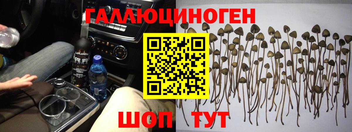 Грозный  Псилоцибиновые грибы MAGIC MUSHROOMS  Галлюциногенные грибы MAGIC MUSHROOMS  Вход с VPN 